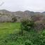 land for sale pomos paphos 8630551 thumbnail 17040102