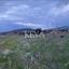 plot for sale pyrgos limassol limassol 8890551 thumbnail 17320821