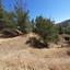 land for sale agios theodoros soleas nicosia 945651 thumbnail 7334286