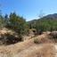 land for sale agios theodoros soleas nicosia 945651 thumbnail 9440049