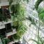 studio building for sale neapolis limassol 1792651 thumbnail 12706500