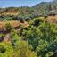 0 SQM Land for sale in Agios Theodoros Soleas, Nicosia thumbnail 847655
