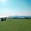 land for sale agios theodoros larnacas larnaca 8897751 thumbnail 17351763
