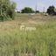 plot for sale latsia nicosia 1728751 thumbnail 5526325