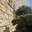 3 bedroom detached house for sale moni limassol 8827851 thumbnail 16992157