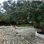 land for sale apesia limassol 8140851 thumbnail 13405581