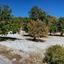 land for sale apesia limassol 8140851 thumbnail 13405583