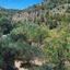 land for sale fikardou nicosia 1800851 thumbnail 15597580