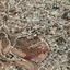 land for sale episkopi lemesou limassol 7738951 thumbnail 12566989
