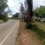 land for sale kelokedara paphos 8524951 thumbnail 17616451
