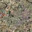 plot for sale geri nicosia 1763951 thumbnail 4864925