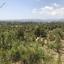plot for sale kornos larnaca 1887951 thumbnail 7125919