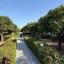 3 bedroom town house for sale mandria pafou paphos 7826061 thumbnail 14232607
