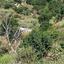 3345 SQM Land for sale in Theletra, Paphos thumbnail 15598712