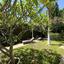 3 bedroom detached house for sale pyrgos limassol limassol 7736161 thumbnail 12348317