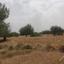 land for sale neo chorio paphos 1785161 thumbnail 15597595