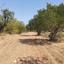 land for sale neo chorio paphos 1785161 thumbnail 17624494