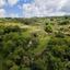 land for sale theletra paphos 8532161 thumbnail 16306208