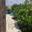 2 bedroom detached house for rent monagroulli limassol 8681261 thumbnail 16180202