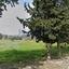 land for sale asgata limassol 7992261 thumbnail 12128668