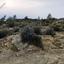 land for sale vasa kellakiou limassol 8926261 thumbnail 17614010