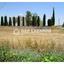 plot for sale xylotymvou larnaca 1755261 thumbnail 6024643