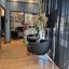 studio commercial building for sale limassol municipality limassol 1184261 thumbnail 13867260