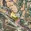 land for sale kalavasos larnaca 1148361 thumbnail 6876028