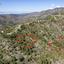 land for sale sykopetra limassol 839361 thumbnail 15868816