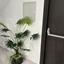 2 bedroom apartment for rent neapolis limassol 8863461 thumbnail 17167366