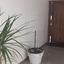 2 bedroom penthouse for sale kato lakatamia nicosia 8060461 thumbnail 16325421