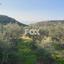 land for sale agios tychonas limassol 1911461 thumbnail 7386048