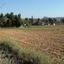 land for sale aradippou larnaca 1744561 thumbnail 17420262