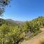 land for sale kaimakli nicosia 8726561 thumbnail 16332145