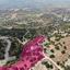 land for sale peristerona pafou paphos 8237561 thumbnail 14230789