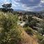 plot for sale monagroulli limassol 8705561 thumbnail 16537071