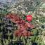 12637 SQM Land for sale in Kakopetria, Nicosia thumbnail 4154956