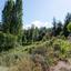 land for sale kakopetria nicosia 1638661 thumbnail 4154952