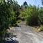 land for sale kakopetria nicosia 1638661 thumbnail 4154953