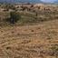 land for sale kelokedara paphos 7740761 thumbnail 15596327