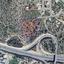 plot for sale episkopi lemesou limassol 7822761 thumbnail 10696097