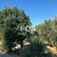 land for sale polemi paphos 1842071 thumbnail 10048328
