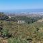 land for sale tsada paphos 1160071 thumbnail 5535757