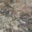 plot for sale agios tychonas limassol 1471071 thumbnail 11049008