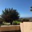 1 bedroom apartment for sale mesa chorio paphos 8337171 thumbnail 14339855
