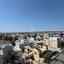 3 bedroom penthouse for rent kapsalos limassol 8312171 thumbnail 16259952