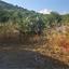 land for sale fasoula lemesou limassol 8810171 thumbnail 16829489
