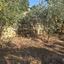 land for sale fasoula lemesou limassol 8810171 thumbnail 16829490