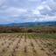 land for sale stroumbi paphos 8532171 thumbnail 16306362