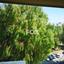 3 bedroom apartment for sale potamos germasogeias limassol 1146271 thumbnail 5502321